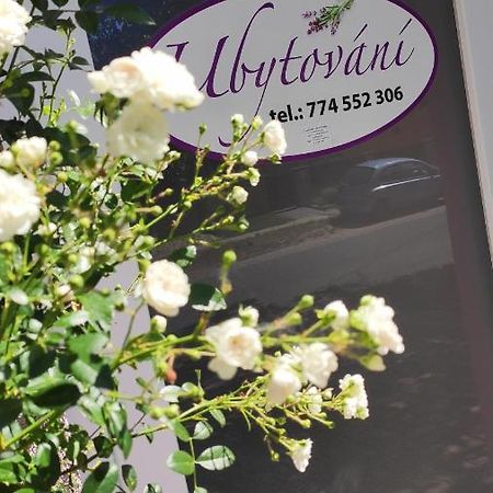 Apartman Cafe U Kordulky Ratiskovice Екстериор снимка